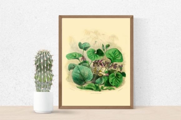 Download Violet Flowers Illustration, Violet - Violet Collection