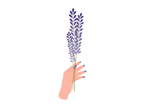 Download Hand Bunch Lavender Violet Flowers Plant - Violet Collection
