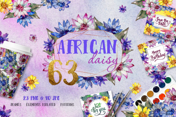 Download African Daisy Watercolor - Daisy watercolor Collection