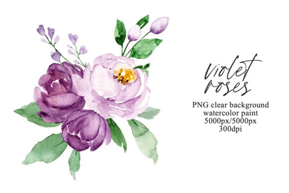 Download Watercolor Violet Flowers Roses, PNG. - Violet Collection