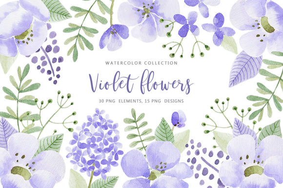 Download Violet Flowers - Violet Collection