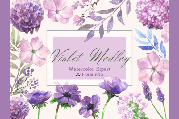 Download Watercolor Violet Purple Flowers Clipart - Violet Collection