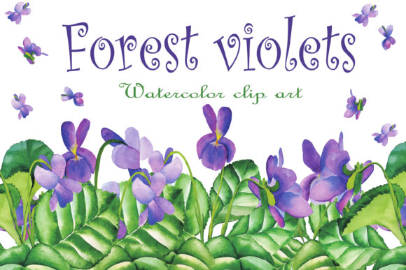 Download Violet Wild Flowers Watercolor Clipart - Violet Collection