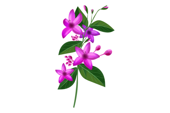 Download Violet Flowers from Tropical Jungle Plan - Violet Collection